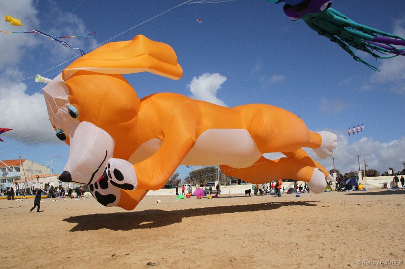Festival Cerfs Volants Chatelaillon 2010_011.JPG